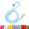 New Ideas for Product 2024 Pet Supplies Fashion Trends Pet Rope Leash Sky Blue Polyester Dog Leash Custom Pet Leashes