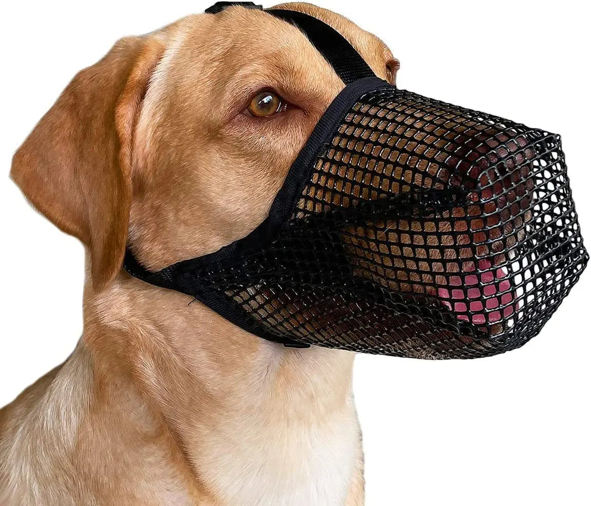 Kingtale Poisoned Bait Protection Muzzle with Adjustable Straps Soft Mesh Covered Dog Muzzles
