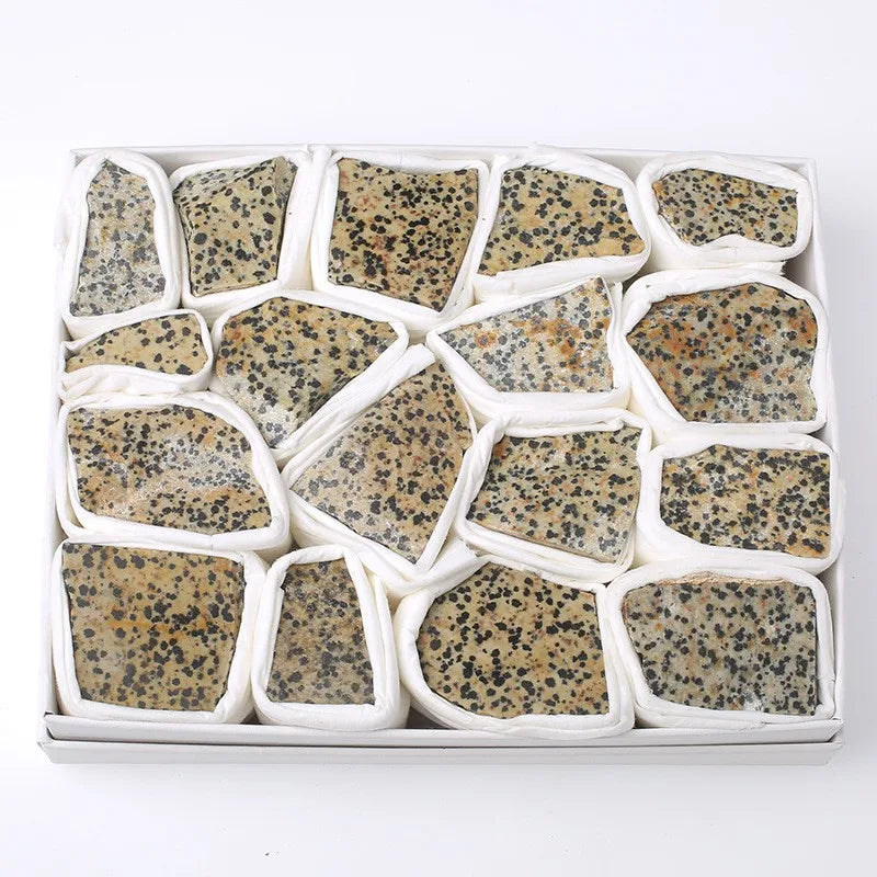 Hongzhuo Natural Dalmatian Jasper Rough Raw Stone for Chakra Healing Products Box Set