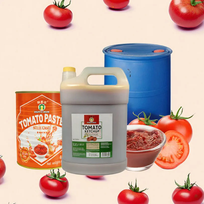 Wholesale Factory Organic 36-38% Brix Bulk Fresh Canned Tin Tomate Concentre Ketchup Sauce Tomato Paste