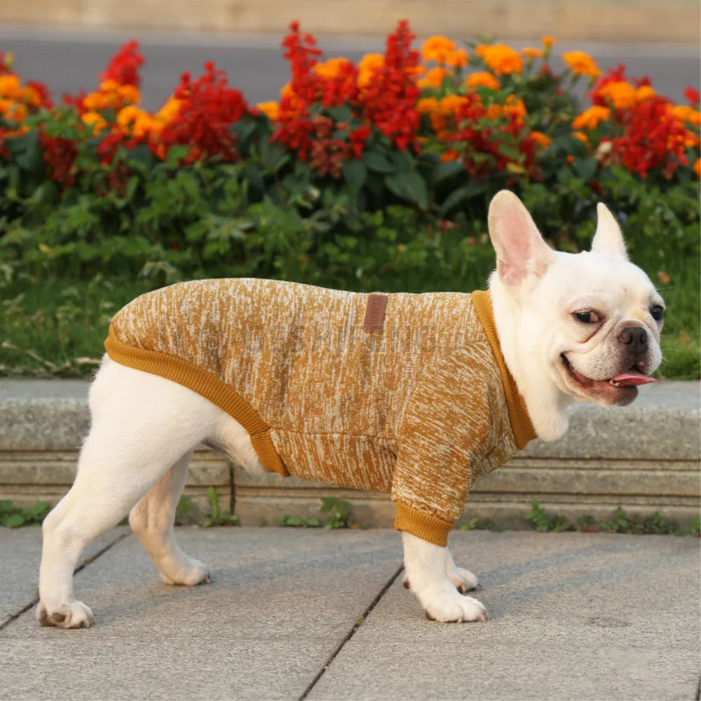 Dog Coats Pets Clothes Sweaters and Accessories Suitable for 1-9Kg Pet