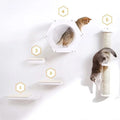 Eco-Friendly Cat Tree Wall CNLF Classic and Modern Style Wooden Climber Sisal Pet Furniture with Bridge Climbing Passage