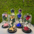 Decoration Gifts Preserved Flower Gift Forever Flowers Rose in Glass