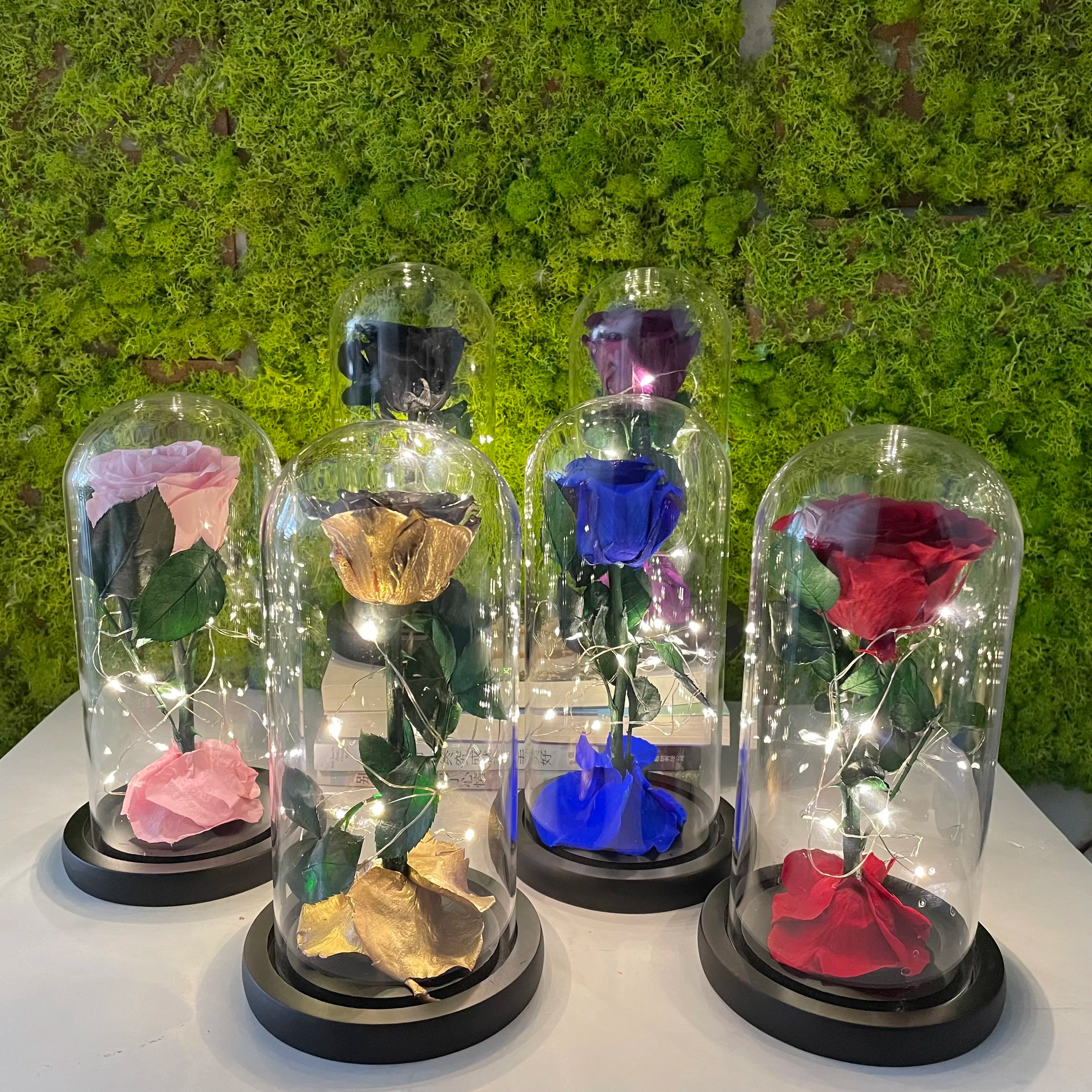 Decoration Gifts Preserved Flower Gift Forever Flowers Rose in Glass