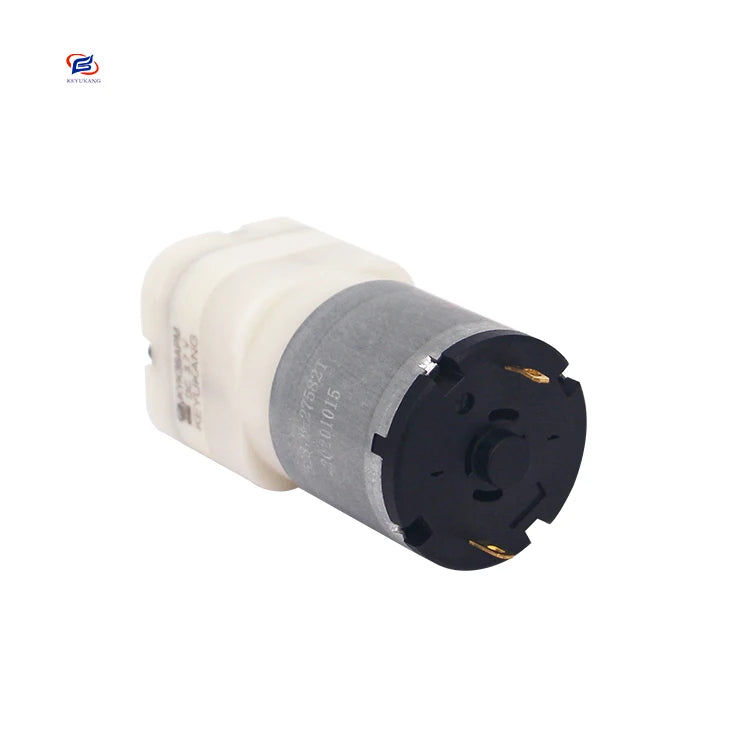 Manufacturer Direct Selling Small Electric 5L/min 12v DC Brushed Motor Micro Mini Diaphragm Motor
