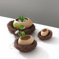 Eggshell Hydroponic Indoor Flower Pot Ceramic Water Culture Vase Art Deco Design for Home Decor Set of Plant Container