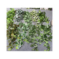 Competitive Price Good Quality Screen Printing Tape Artificial Plant 5 Fork Sweet Potato Wall Hanging with Crabapple