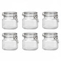 Airtight Glass 17oz Round Storage Container with Preserving Seal Wire Clip