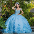 New Sweetheart Ball Gown Beaded Quinceanera Dresses 15 Long Sleeve Corset Dress Princess Sweet 16 15 Vestidos De Fiesta