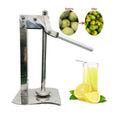LMC01 Commercial Handheld Lemon Smasher Stainless Steel Summer Juice Tool for Lime & Fruit