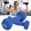 Hexagonal Frosted Smooth Surface Dipping Ladies Dumbbells Fitness Gym Rubber+Cast Iron Non-Slip 1-10kg Neoprene
