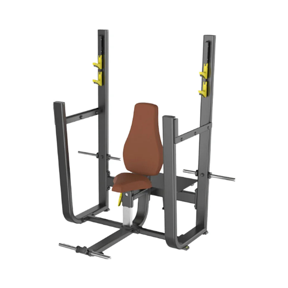Adjustable Metal Flat Gym Bench with Commercial Free Weight Equipment Incline & Dumbbell Rack for Strength Training