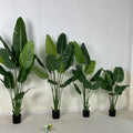 D65 Artificial Plant Monstera  Bonsai Tree With Pot Artificial Turtle Palm Fern Tree Olive Tree for Home Shop Events Decor