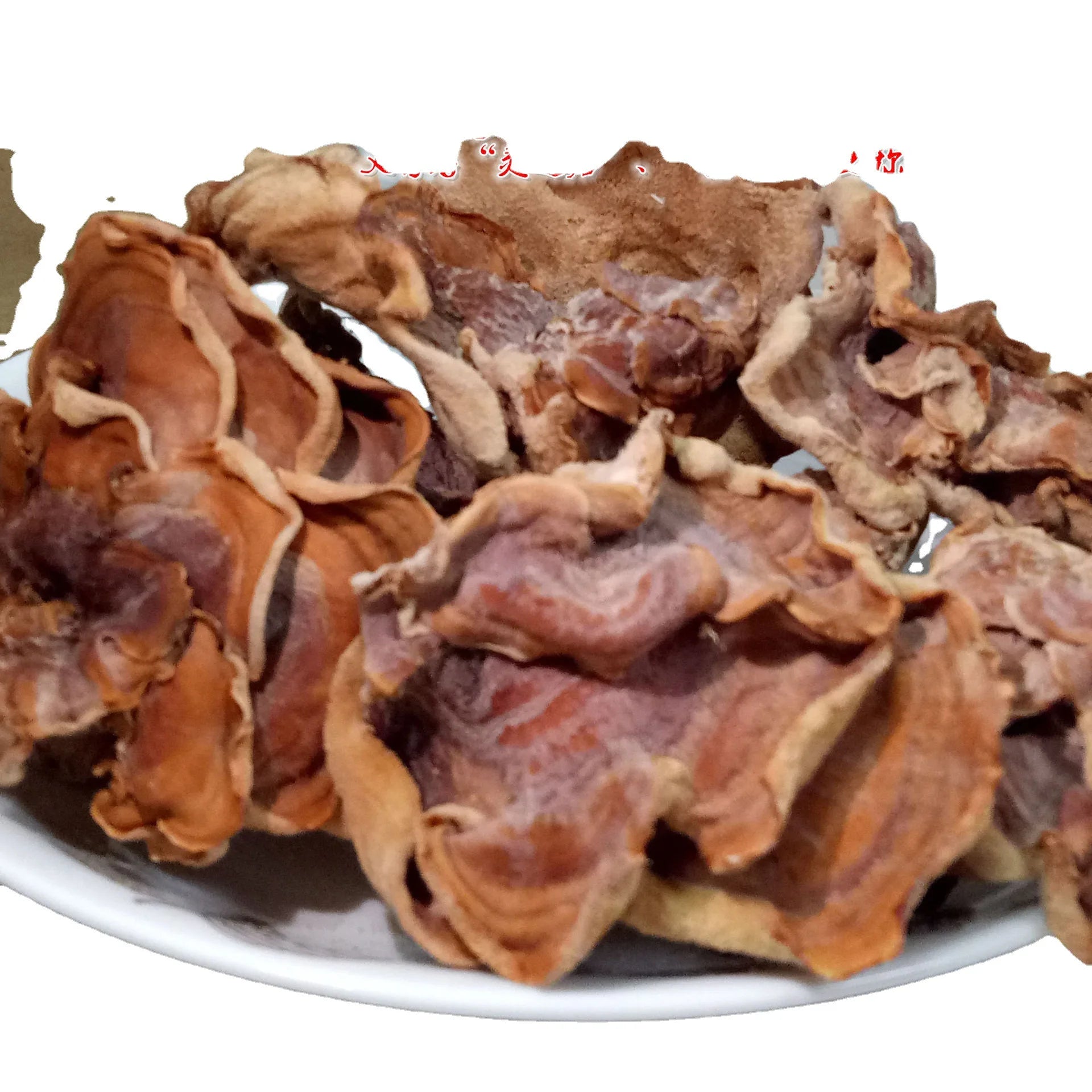 Yu Er Wholesale Wild Raw Dried Edible Gloeostereum Incarnatum Mushrooms for Sale