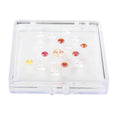 Clear Gemstone Box With Sticky Gel Pad Precious Stone Diamond Gemstone Display Box