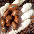 Bulk Sale Healing Crystals Semi-precious Stone Mahogny Obsidian Tumbled Stones for Gift