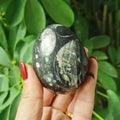 Natural Healing Crystal Fossil Quartz Egg Carving for Collection