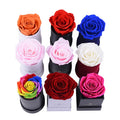 Hot Real Natural Everlasting Eternal Single Preserved Roses for Valentine Gifts