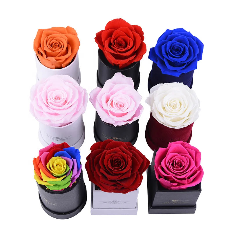 Hot Real Natural Everlasting Eternal Single Preserved Roses for Valentine Gifts