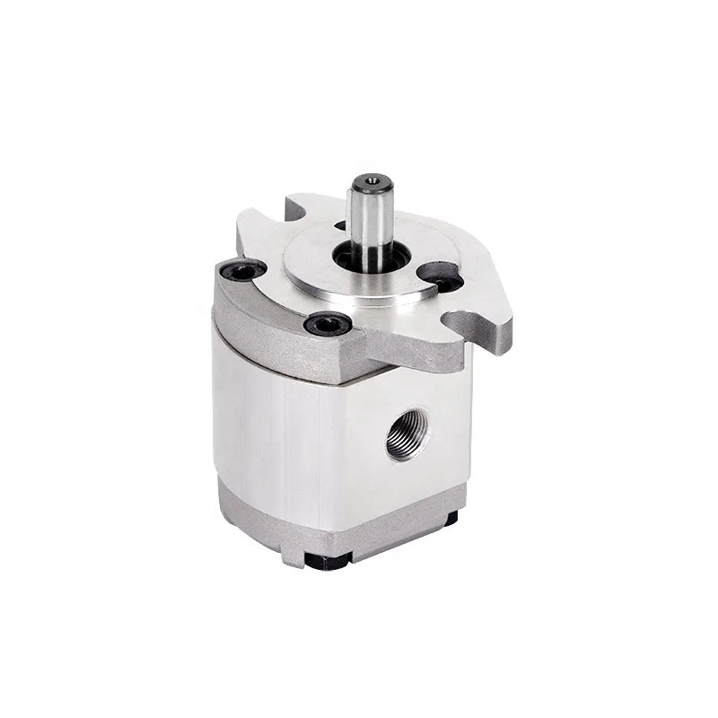 Customized Hydraulic Gear Pump OEM ODM Service for Various Hydraulic Equipment