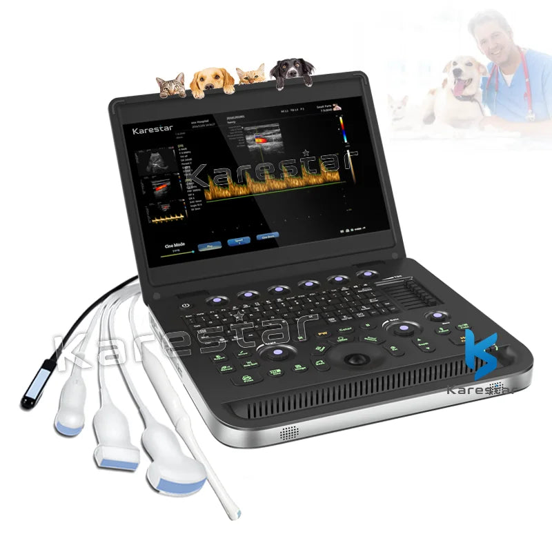 K-C101 Veterinary Laptop 3D Color Doppler Ultrasonic Scanner System Cheapest Portable Ultrasound Machine