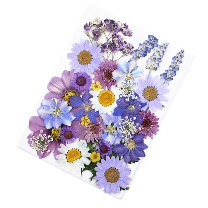 140 Pcs Dried Pressed Flowers Herbs Kit Jewelry Candle Soap Making Nails Decoration for DIY Resin Dry Leaves Bulk Natural 7 Days