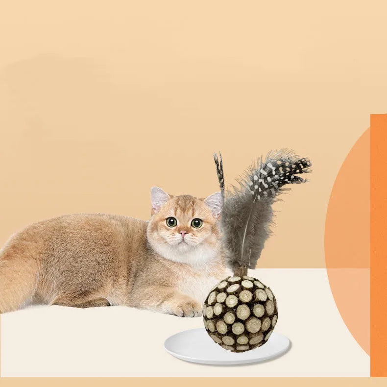 Natural Eco-friendly Cat Supplies Feather Wood Polygonum Ball Cats Chew Interactive Toys