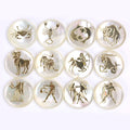 Shell 12 Constellations Flat Bottom Cabochon Mother of Pearl Shell Constellation Stone for Necklace Making