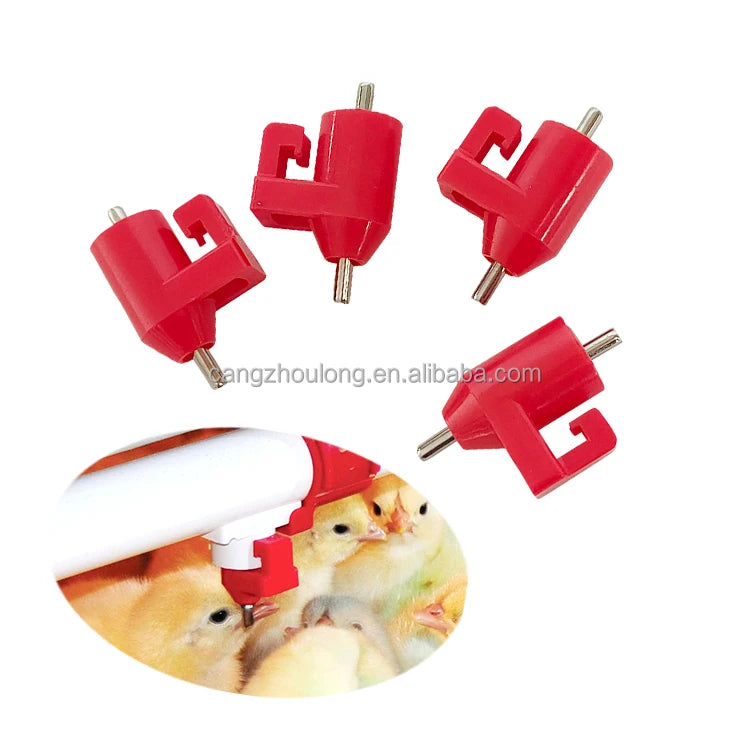YYX LM25 High Quality Poultry Farm Equipment Stainless Steel Automatic Ziggity J-Lock Nipple Drinker Chicken Poultry