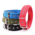 Wholesale Low Price Padded Dog Leash Collar