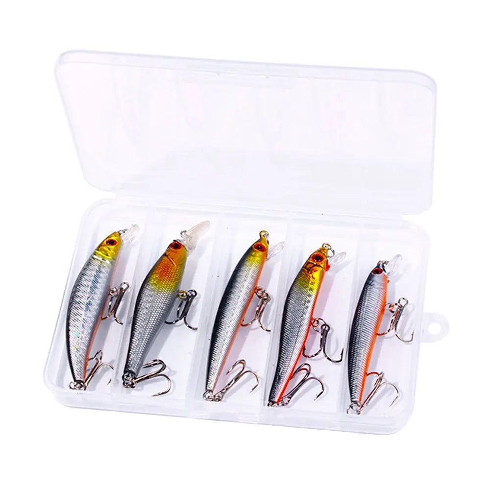 5pcs/box Silver Minnow Fishing Lure Set Artificial Hard Plastic Pesca Lure Set MegaBDM