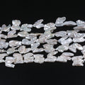 21mm Baroque Irregular Letter Shape Biwa Freshwater Pearl Loose Strand