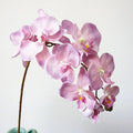 D-OR001 Whole Sale Single Stem Wholesale Silk White Orchid Flowers Artificial Phalaenopsis Blue Orchids for Wedding Decor