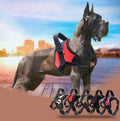 Dog Harness No Pull Walking Pet Harness with 2 Metal Rings and Handle Adjustable Reflective Breathable Oxford Harness