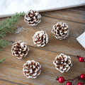Lacquered White Pine Cones Fish Scales Pine Cones Pine Cones Christmas Tree Decorations