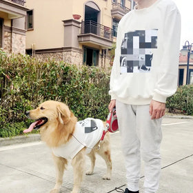 4XL-6XL Large Pet Dog Labrador Golden Retriever Matching Large Dog and Owner Blank Hoodie