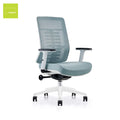Factory Modern Commercial Furniture Desk Chair Computer Chair Ergonomic Adjustable Armrest Office Mesh Chair With Lumbar Support