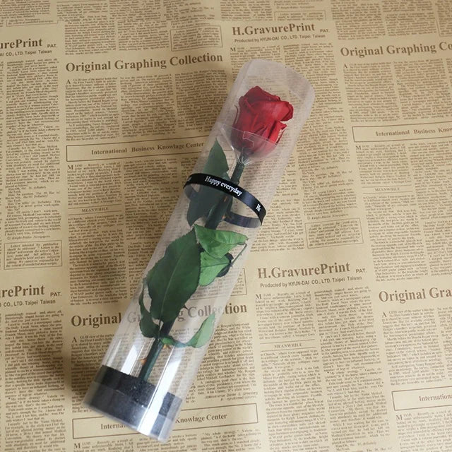 Valentine's Day Home Decoration Preserved Roses with Stem Single Everlastng Eternity Forever Rose PVC Packaged Preserved Flowers
