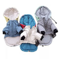 Pet Clothes Fashion Popular Dog Clothes Winter Pet Coat Puppy Teddy Hoodie Cat Dog Coat Manufacturer Wholesale Luxury Cute Print