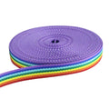 Polyester rainbow Striped Webbing Beautiful Color rainbow Webbing Strap Intercolor Polyester Bag Webbing Irisated for Clothing
