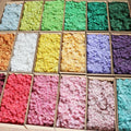 E-M021 Wholesale Long Life Grade Natural Moss 100g 500g Preserved Reindeer Moss Christmas Hotel Coffee Shop Wall Decoration Home