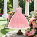 Elegant Floral Lace Evening Dress for Kids Girls Birthday Party Frock with Pleat Decoration