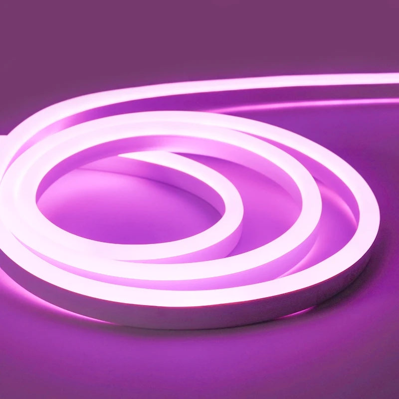 Silicone Neon Led Strip Single Color DC12V 2835 120leds/M IP68 1100lm Dimmable for Landscape Lighting