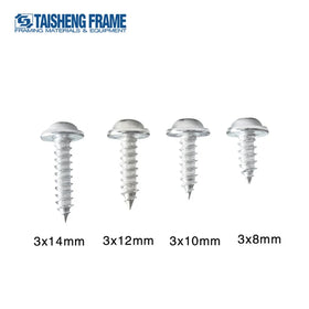 TS K289 Photo Frame Backboard Frame Accessories Zinc Plated Phillips Pan Head Self Tapping Screw Metal Screws