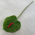 Single Soft Rubber Anthurium for Wedding Decoration Artificial Plants