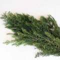 Colorful Beautiful Square Long Lasting Natural Fresh Preserved Flowers for Wedding Decor