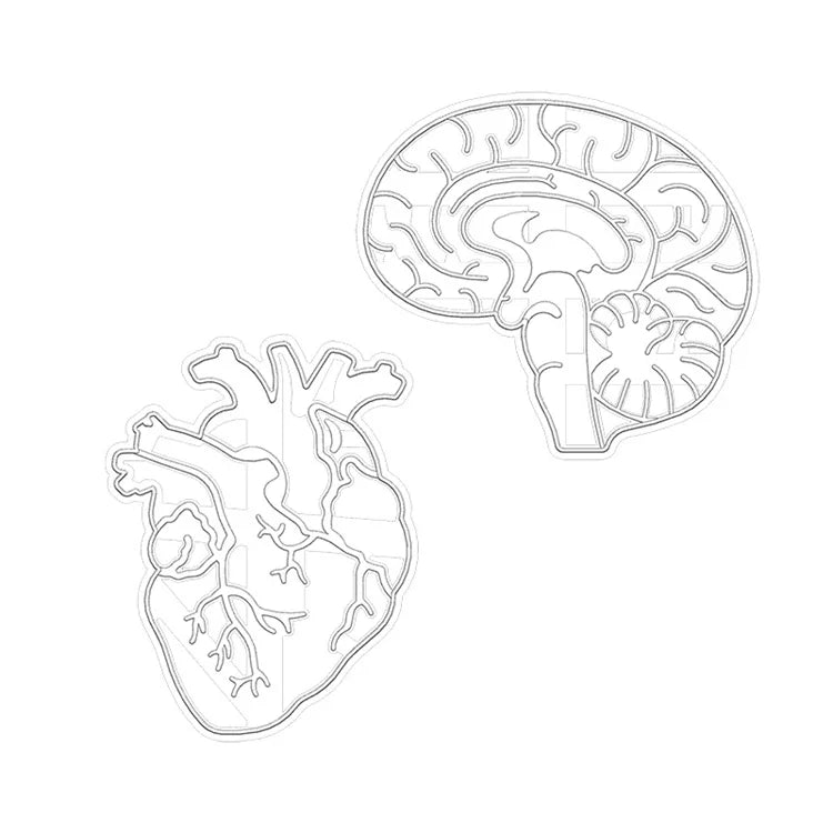 Wholesale Cookie Cutters Plastic Internal Organs Shape Cookie Cutter 3D Biscuit Stomach Embossed Mold