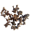 Hotsale Guaizao Dried Whole Wild Japanese Raisin Oriental Hovenia Dulcis Fruits for Herb