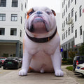Manufacturer Supply High QUality Huge Advertising 6m Dog Cartoon Custom Inflatable Mascot