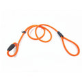 Wholesale Solid Pattern Nylon Dog Slip Rope Leash Durable Padded Training Lead with Ribbons Decoration
